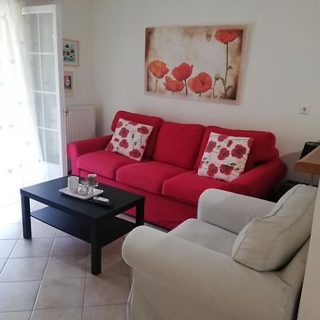 Sunny Stay Furnished Apartment In Kanoni מראה חיצוני תמונה
