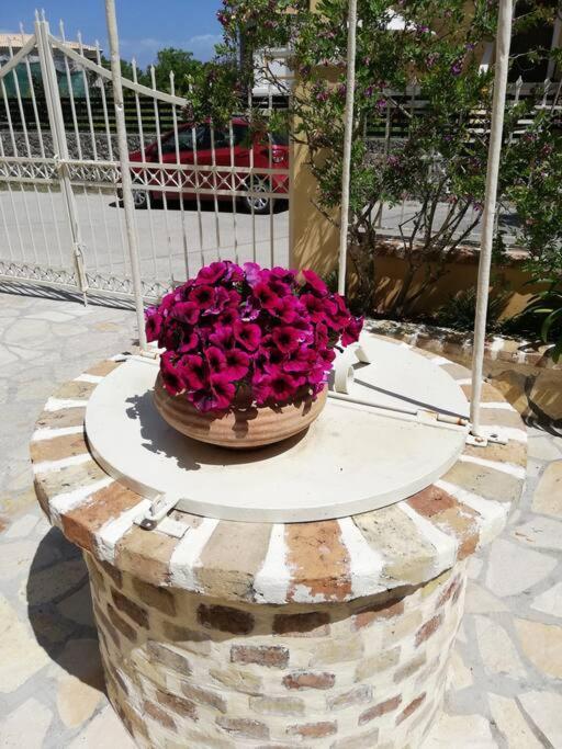Sunny Stay Furnished Apartment In Kanoni מראה חיצוני תמונה