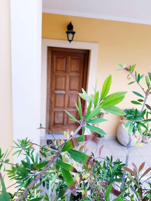 Sunny Stay Furnished Apartment In Kanoni מראה חיצוני תמונה